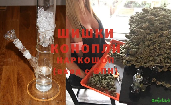шишки Абаза
