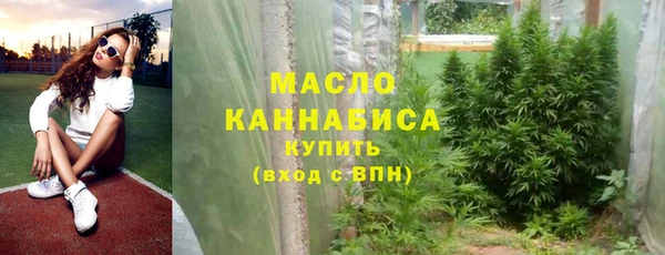шишки Абаза