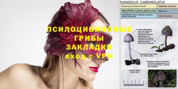 шишки Абаза