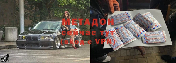 шишки Абаза